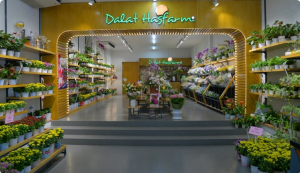 Mẫu bảng hiệu bằng đèn led đơn giản của shop hoa tươi Dalat Hasfarm